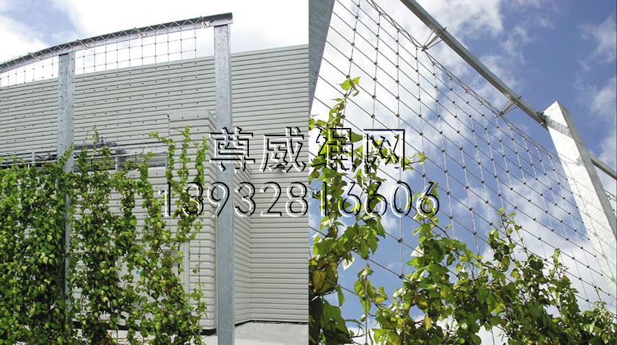 不銹鋼繩網 不銹鋼繩網