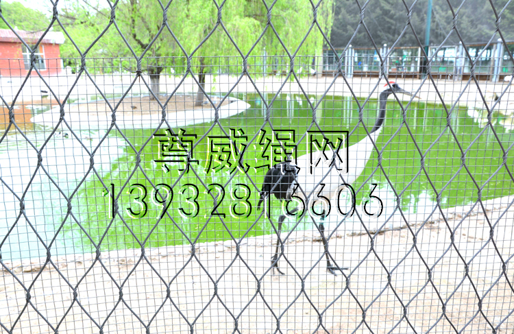 尊威不銹鋼繩網(wǎng) 尊威不銹鋼繩網(wǎng)