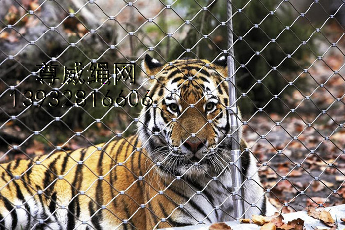 不銹鋼繩網(wǎng) 不銹鋼繩網(wǎng)