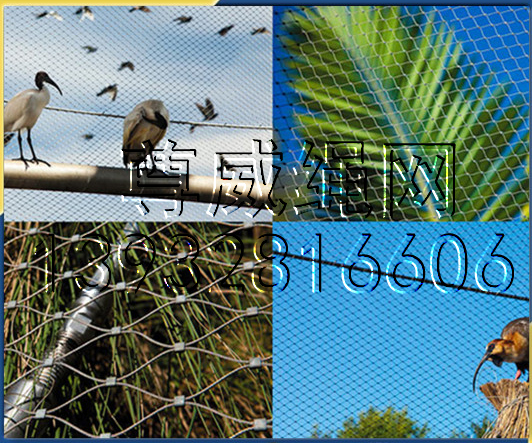 不銹鋼繩網(wǎng) 不銹鋼繩網(wǎng)