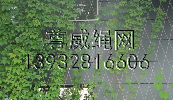 不銹鋼繩網(wǎng) 不銹鋼繩網(wǎng)