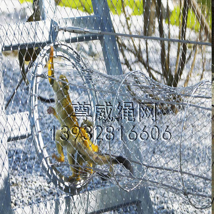 不銹鋼繩網(wǎng) 不銹鋼繩網(wǎng)