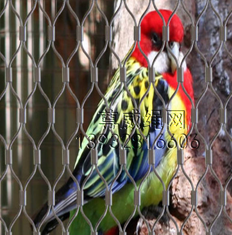 不銹鋼繩網 不銹鋼繩網