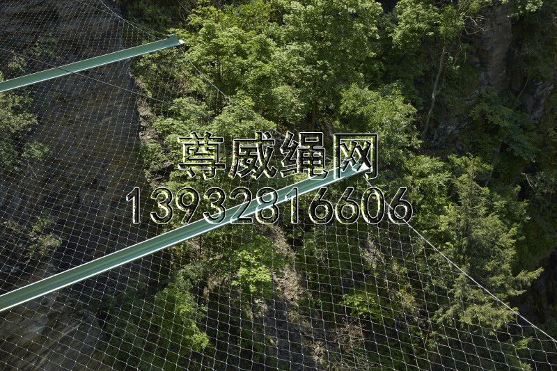 不銹鋼繩網(wǎng) 不銹鋼繩網(wǎng)