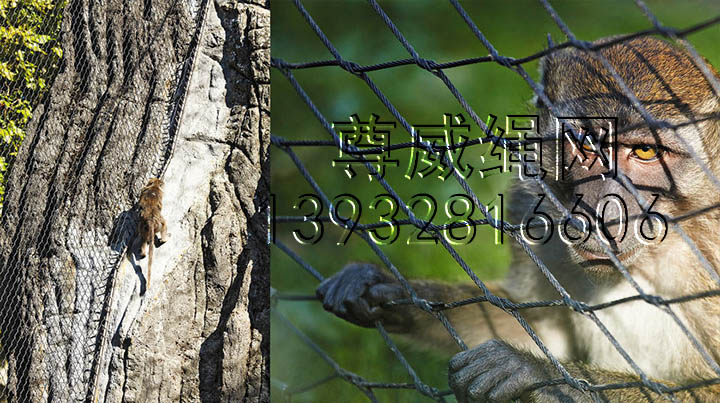 不銹鋼繩網(wǎng) 不銹鋼繩網(wǎng)