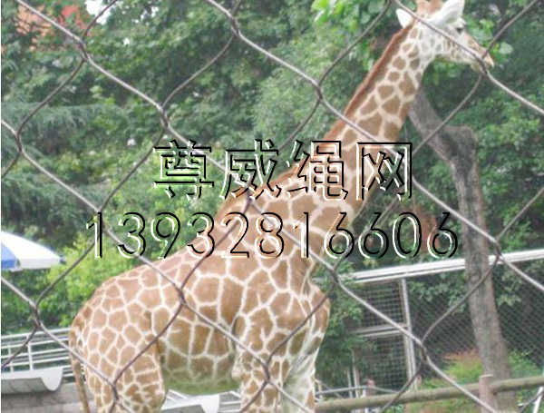 不銹鋼繩網(wǎng) 不銹鋼繩網(wǎng)