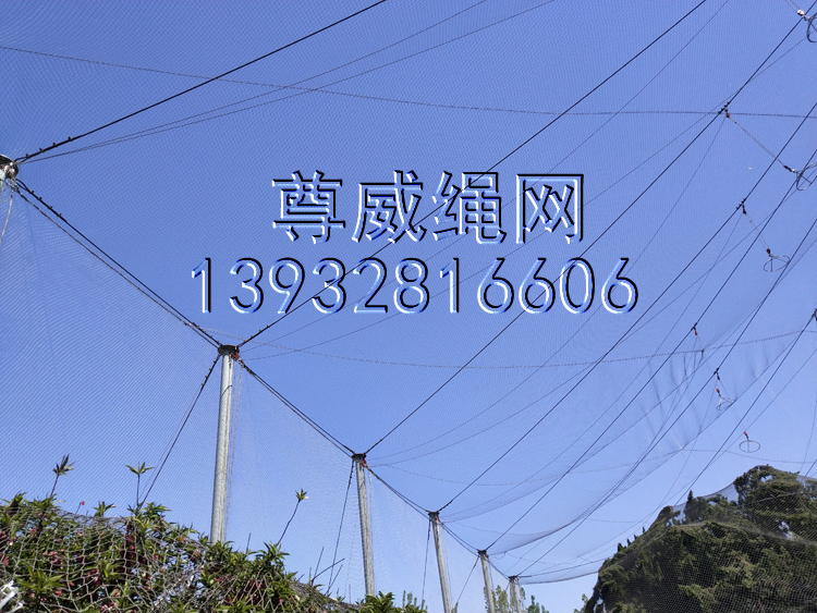 尊威不銹鋼繩網(wǎng) 尊威不銹鋼繩網(wǎng)