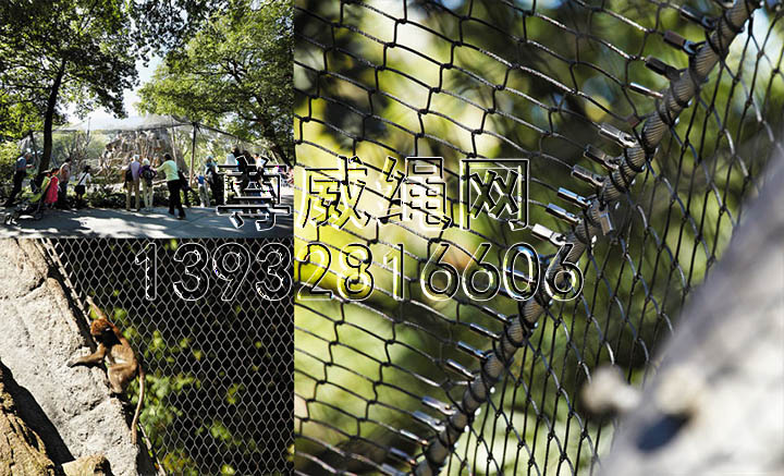 不銹鋼繩網(wǎng) 不銹鋼繩網(wǎng)