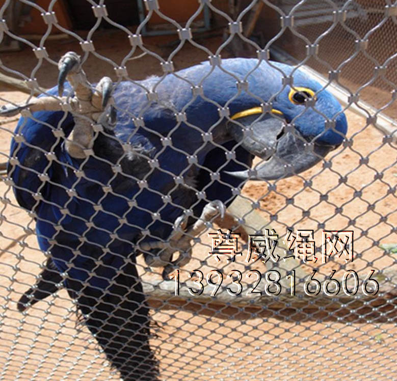 鳥語林專用網(wǎng) 鳥語林專用網(wǎng)