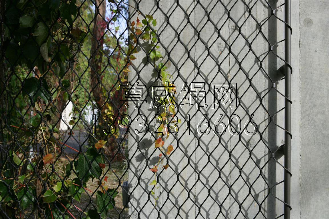 不銹鋼繩網 不銹鋼繩網