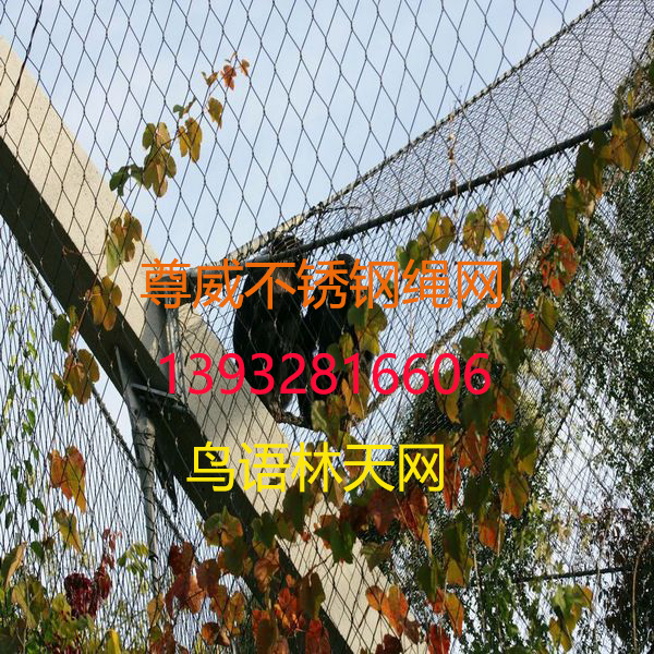 鳥(niǎo)語(yǔ)林網(wǎng) 鳥(niǎo)語(yǔ)林網(wǎng)