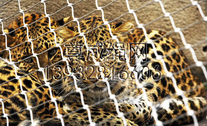 不銹鋼繩網(wǎng) 不銹鋼繩網(wǎng)