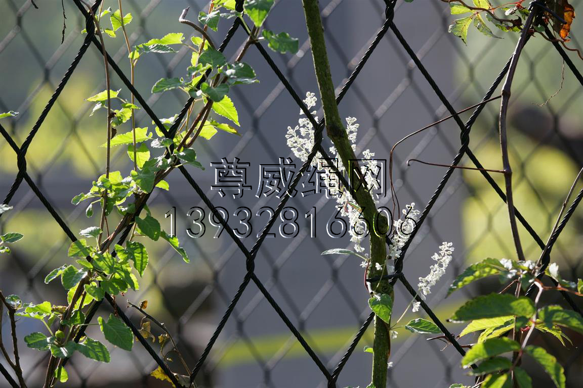 尊威黑色不銹鋼繩網(wǎng) 尊威黑色不銹鋼繩網(wǎng)