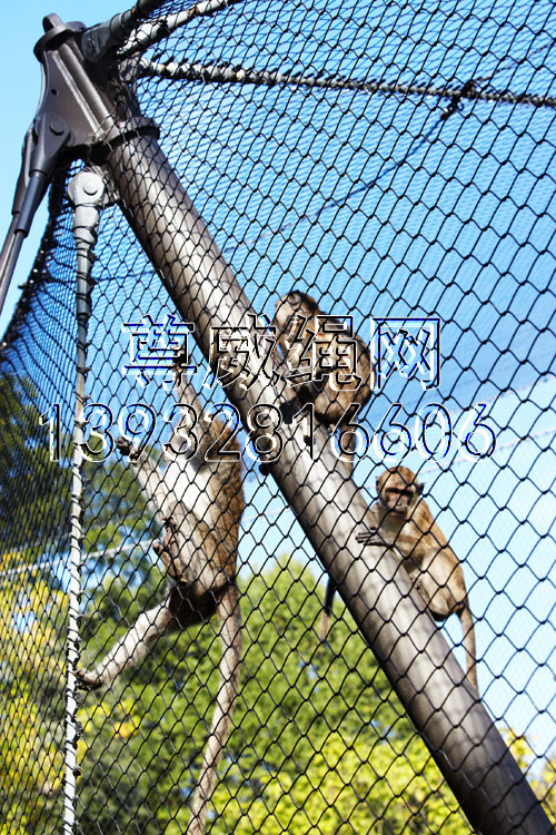 尊威黑色氧化不銹鋼繩網(wǎng) 尊威黑色氧化不銹鋼繩網(wǎng)