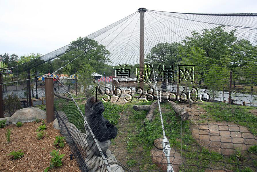 尊威黑色不銹鋼繩網(wǎng) 尊威黑色不銹鋼繩網(wǎng)