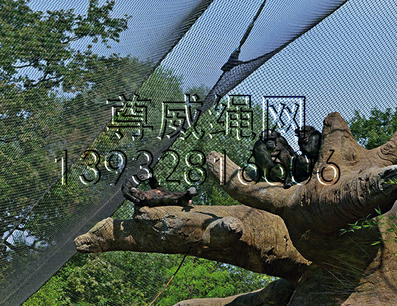 尊威黑色不銹鋼繩網(wǎng) 尊威黑色不銹鋼繩網(wǎng)