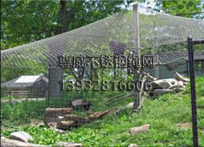 鳥語林網(wǎng) 鳥語林網(wǎng)