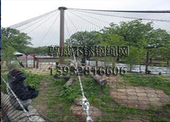 不銹鋼繩網(wǎng) 不銹鋼繩網(wǎng)