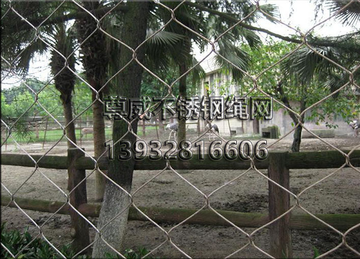 不銹鋼繩網(wǎng) 不銹鋼繩網(wǎng)