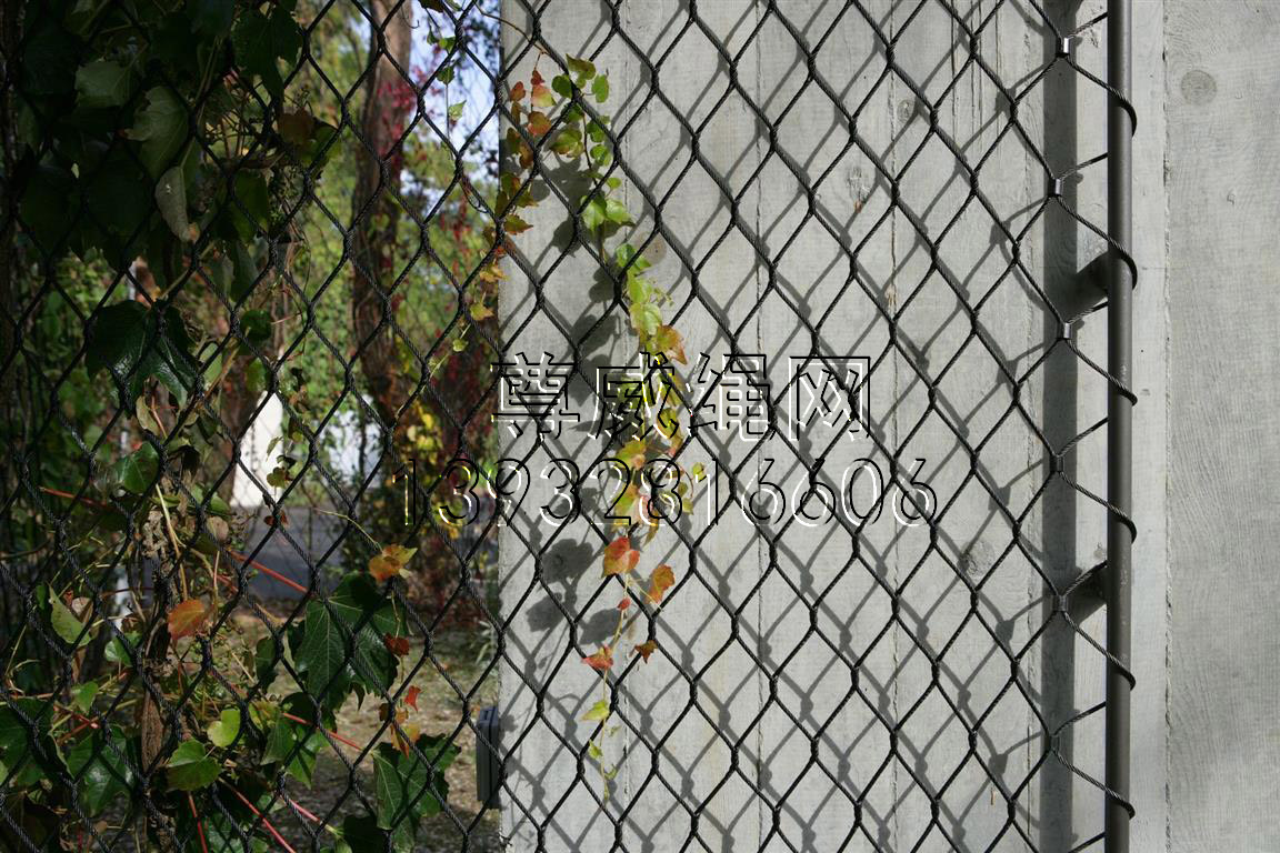 尊威不銹鋼繩網(wǎng) 尊威不銹鋼繩網(wǎng)