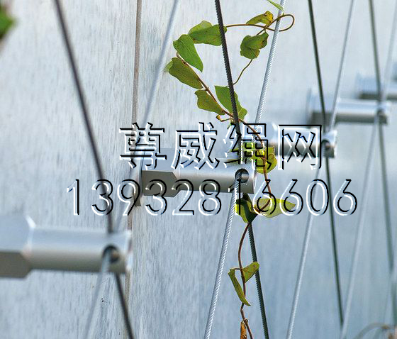 尊威不銹鋼繩網(wǎng)